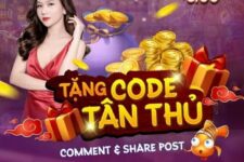 Giftcode Net79 – Ưu đãi đa dạng đến từ sân chơi đẳng cấp nhất